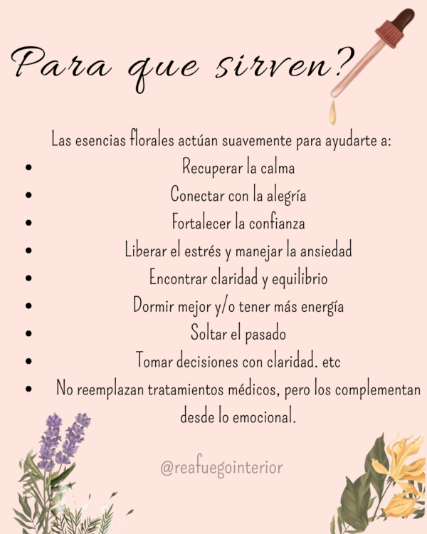 Flores de bach - Image 4